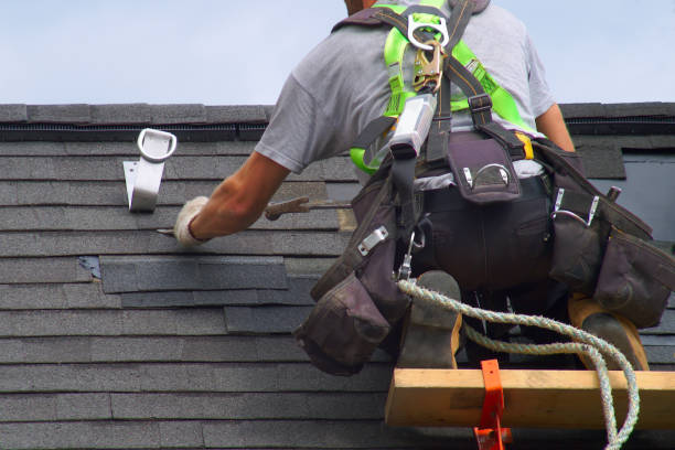 Best Roof Maintenance Services  in Vaiden, MS