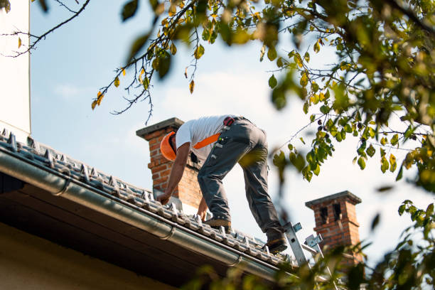 Best Local Roofing Companies  in Vaiden, MS