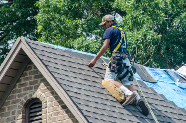 Best New Roof Installation  in Vaiden, MS